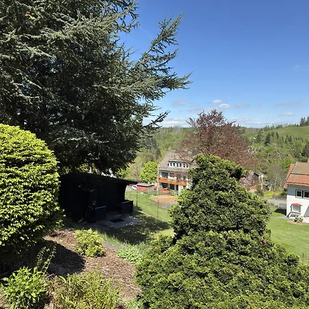 Apartment Mit Weitem Ausblick In Altenau, Cleaning Included *