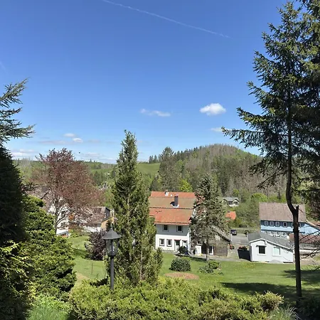 Mit Weitem Ausblick In Altenau, Cleaning Included Apartment