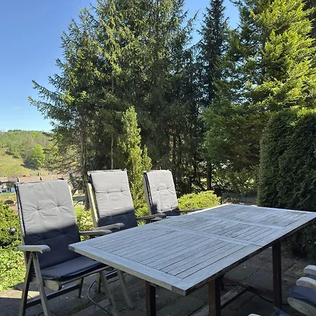 Mit Weitem Ausblick In Altenau, Cleaning Included Altenau (Lower-Saxony)